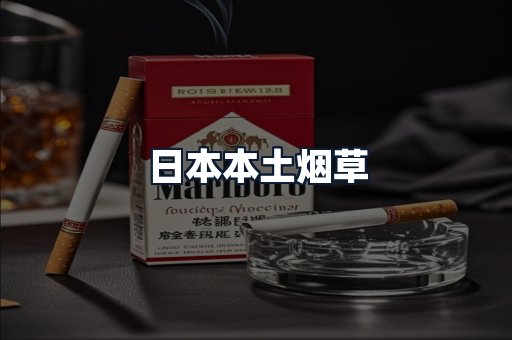 日本本土烟草
